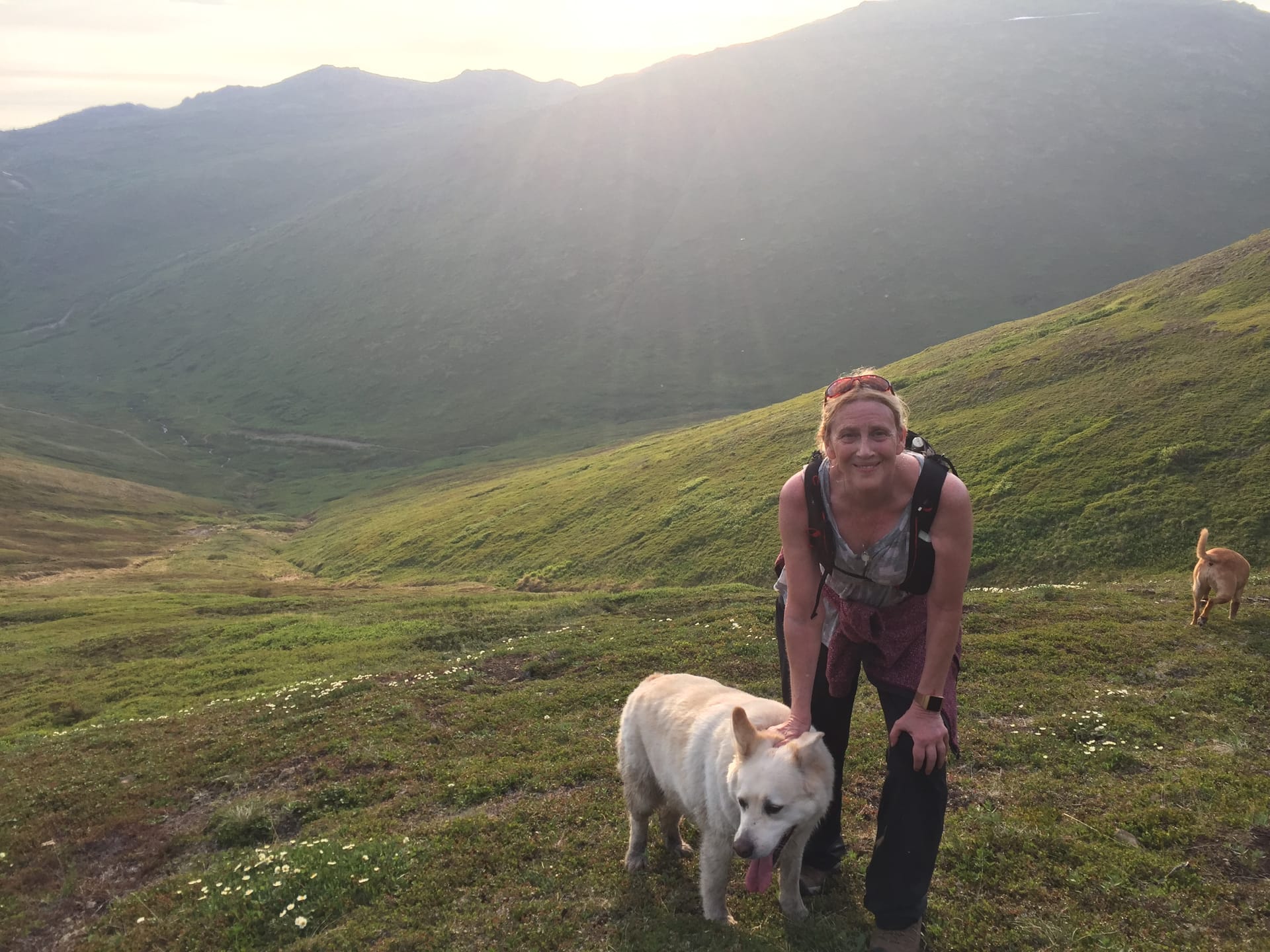 Janet - Visionary Engineer